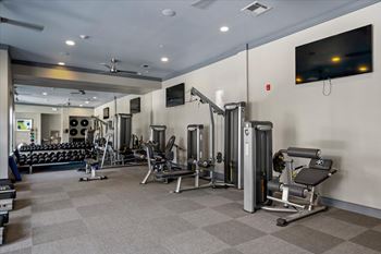 A well-equipped gym with a variety of machines and weights.